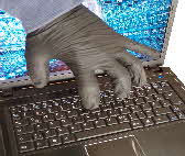 Cyberangriff_Bild